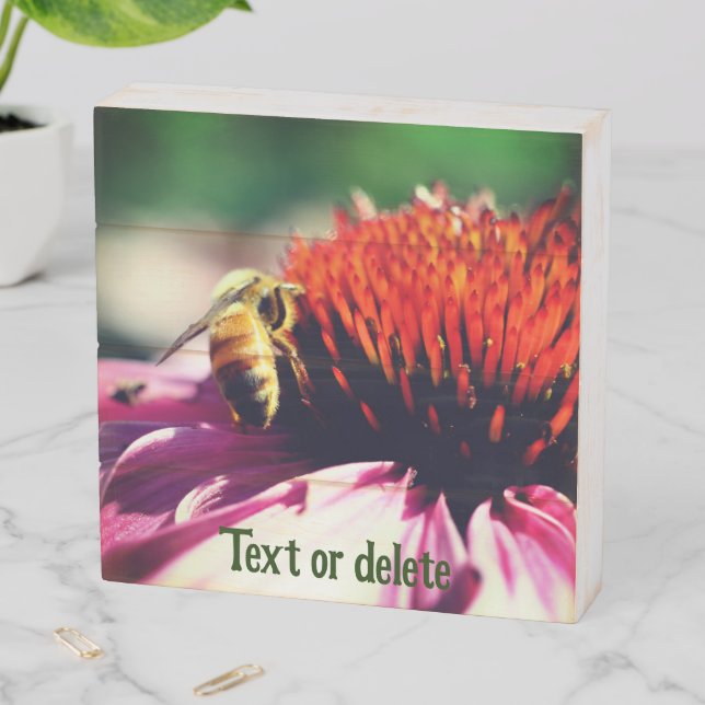 Honey Bee On Coneflower Daisy Personalized Wooden Box Sign (In Situ Horizontal)