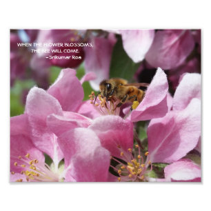 Honey Bee on Crabapple Blossom with Quote Photo Print