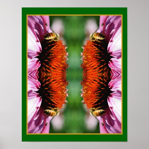 Honey Bee On Echinacea Daisy Flower Abstract  Poster