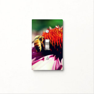 Honey Bee On Echinacea Daisy Flower Light Switch Cover