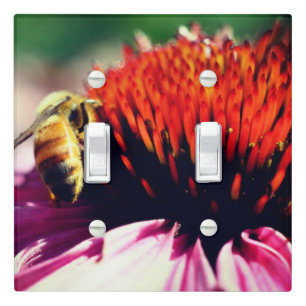 Honey Bee On Echinacea Flower Close Up Light Switch Cover