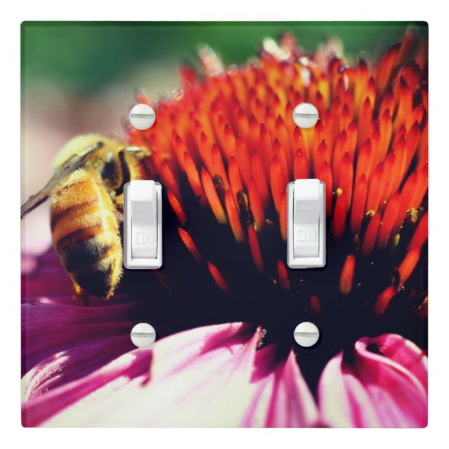 Honey Bee On Echinacea Flower Close Up     Light Switch Cover (In Situ)