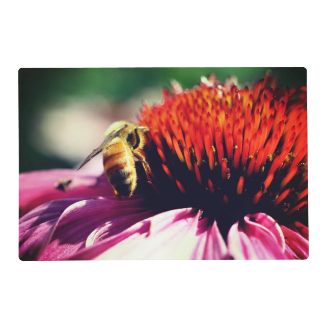 Honey Bee On Echinacea Flower Close Up   Placemat (Front)