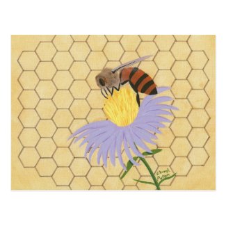 Honey bee on flower honeycomb background postcards