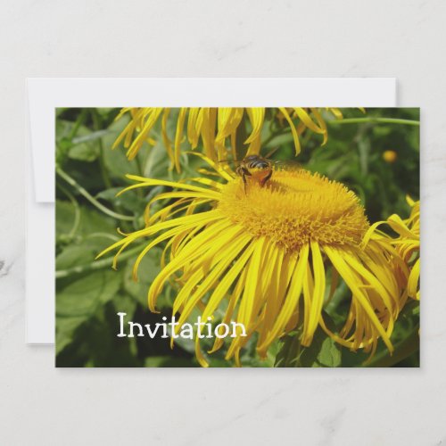 Honey Bee on Flower Invitation