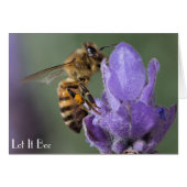 Honey Bee on Lavender Flower Photo Card (Front Horizontal)