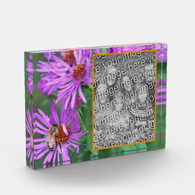 Honey Bee On Pink Aster Flower Add Your Own  Photo Block (Left)