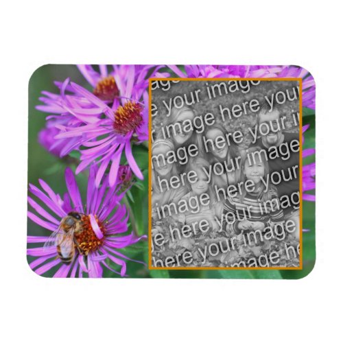 Honey Bee On Pink Aster Flower Add Your Photo  Magnet
