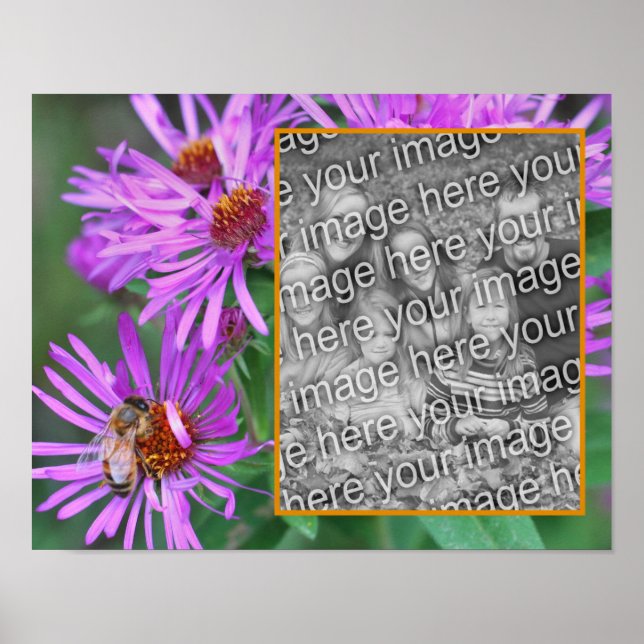 Honey Bee On Pink Aster Flower Add Your Photo  Poster (Front)