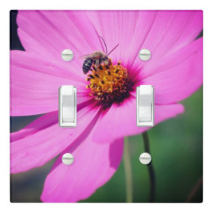 Honey Bee On Pink Cosmos Flower Close Up Light Switch Cover