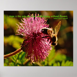 Honey bee on powder puff flower, Ingersoll quote Poster