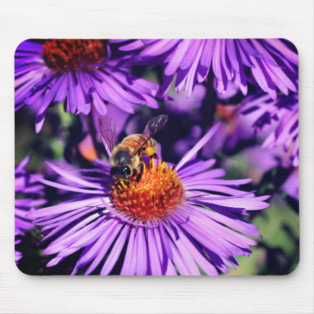 Honey Bee On Purple Aster Flower  Mouse Pad (Front)