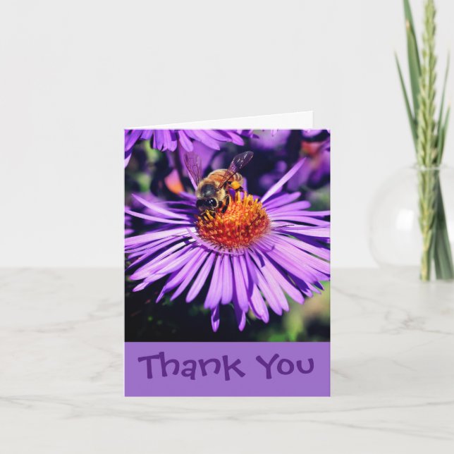 Honey Bee On Purple Aster Flower Thank You Card (Front)