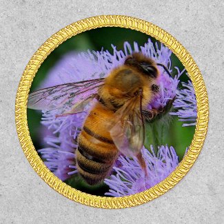 Honey Bee on Purple  Flower  Patch