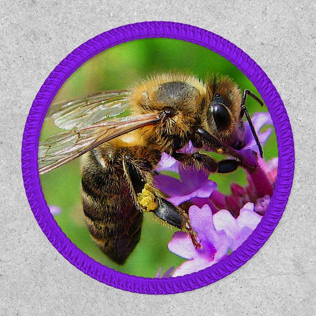 Honey Bee on Verbena Flower Patch