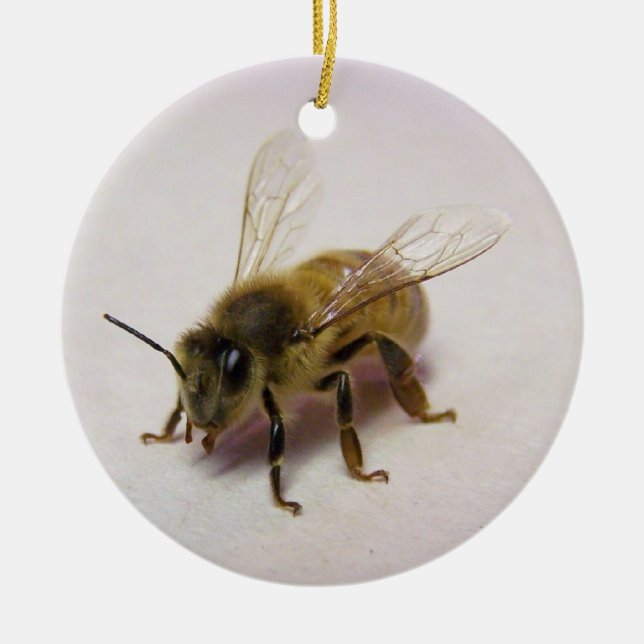 Honey Bee Ornament (Front)