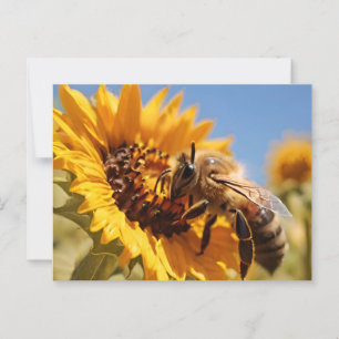 Honey bee polinating sunflower postcard