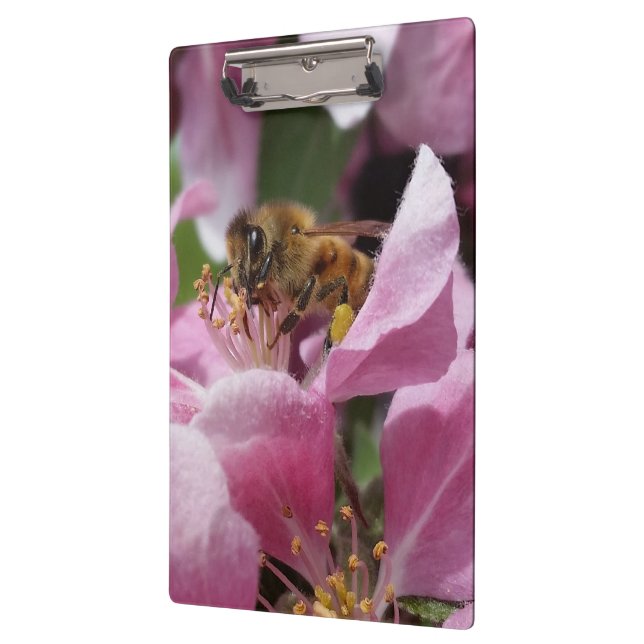Honey Bee Pollinating Pink Crabapple Tree Blossom Clipboard (Left)