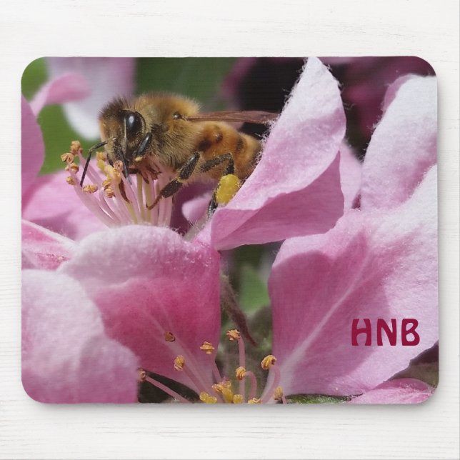 Honey Bee Pollinating Pink Crabapple Tree Blossom Mouse Pad (Front)