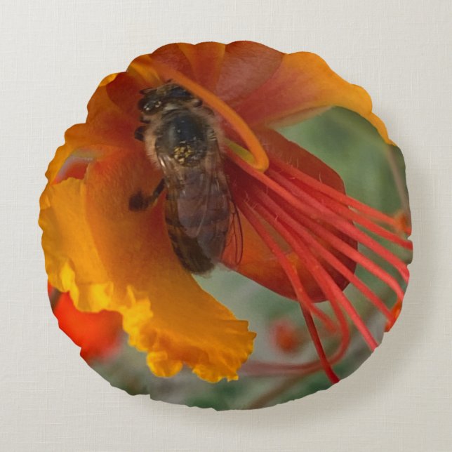 Honey Bee 🐝  Round Pillow (Front)