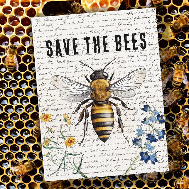 Honey Bee Save the Bees Script Flowers Postcard (Creator Uploaded)