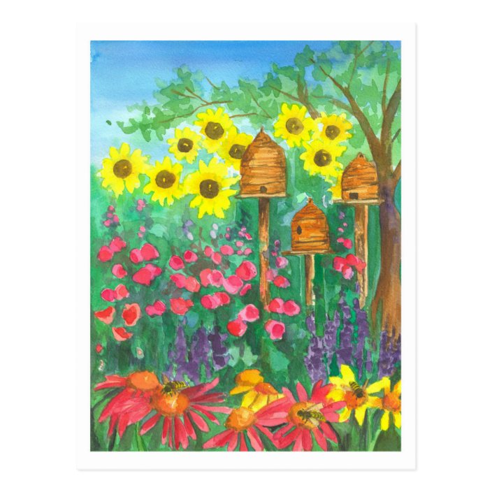 Honey Bee Skep Sunflowers Watercolor Garden Postcard Zazzle