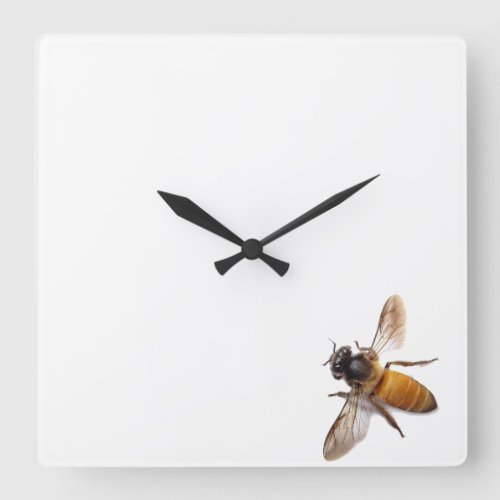 Honey Bee Square Wall Clock