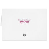 Honey Bee & Texas Sage Cards (Back Horizontal)