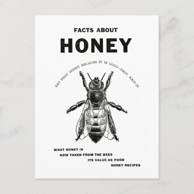 Honey Bee Vintage Advertising Postcard (Front)
