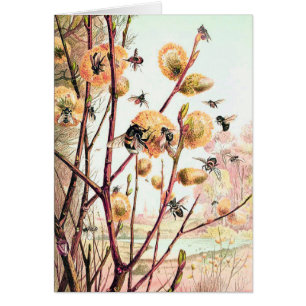 Honey bee vintage illustration blank card