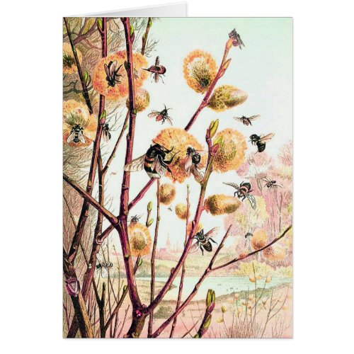 Honey bee vintage illustration blank card