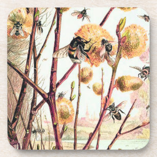 Honey bee vintage illustration coaster