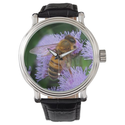 Honey Bee Watch