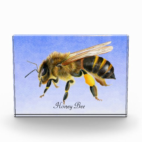 Honey Bee Watercolor Painting Photo Block