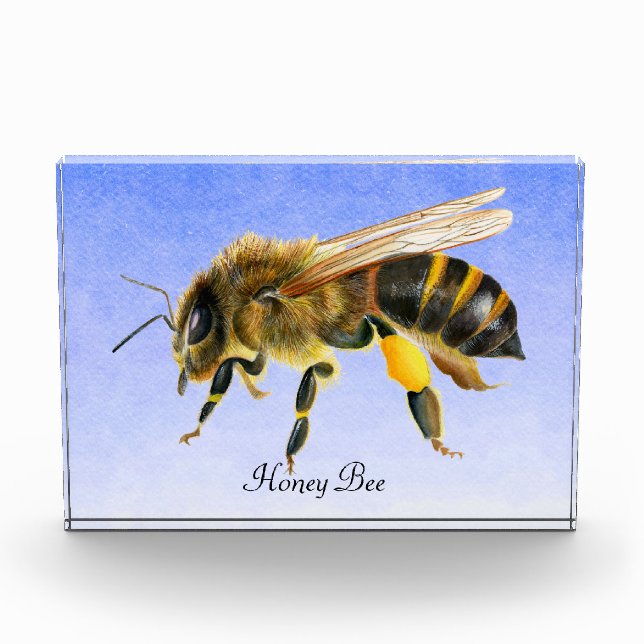 Honey Bee Watercolor Painting Photo Block (Front)