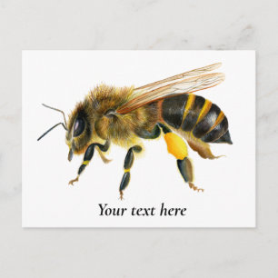 Honey Bee Watercolor Painting Postcard