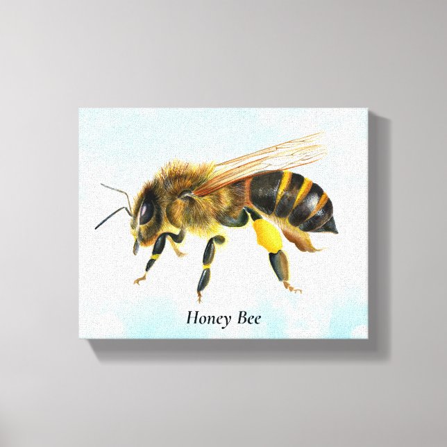 Honey Bee Watercolor Stretched Canvas Print (Front)