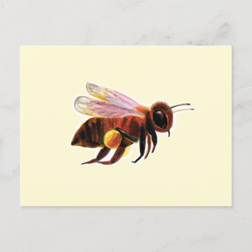 Honey Bee with its Pollen Baskets Illustration Holiday Postcard