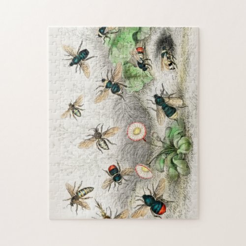 Honey Bee Worker Male Queen Common Humble Bee Jigsaw Puzzle