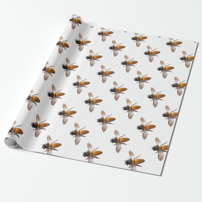 Honey Bee Wrapping Paper (Unrolled)