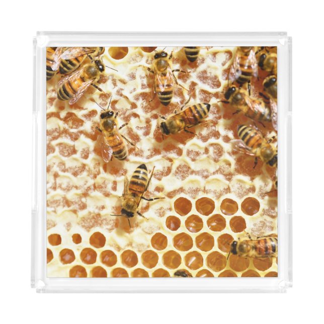 HONEY BEES  ACRYLIC TRAY (Front)