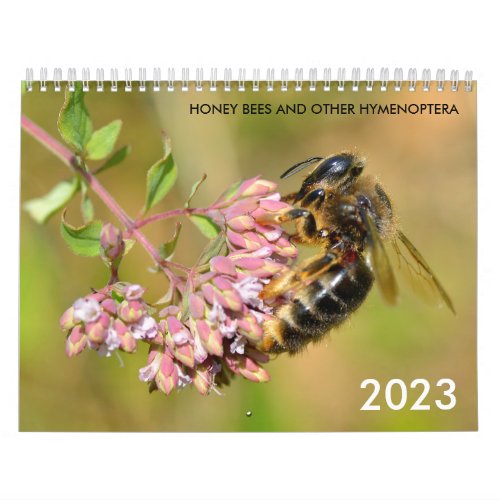 Honey bees and other hymenoptera calendar
