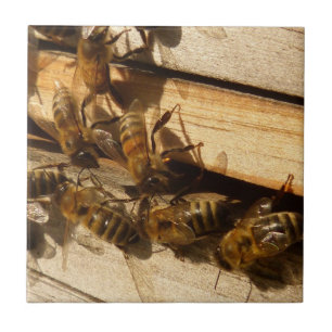 Honey Bees Ceramic Tile