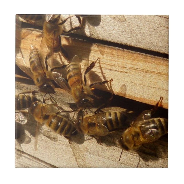 Honey Bees Ceramic Tile (Front)