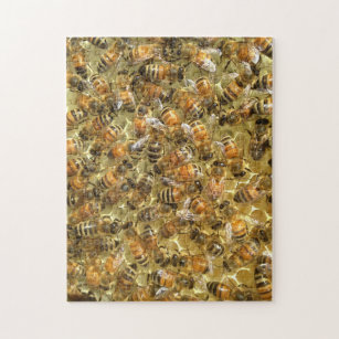 10,000 Piece Jigsaw Puzzle, A swarm of bees looking for a n…