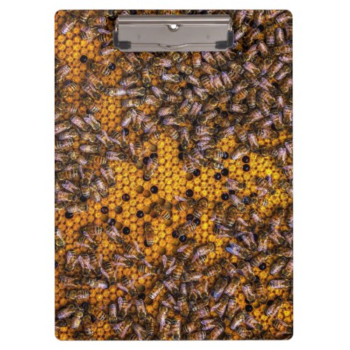 HONEY BEES   CLIPBOARD