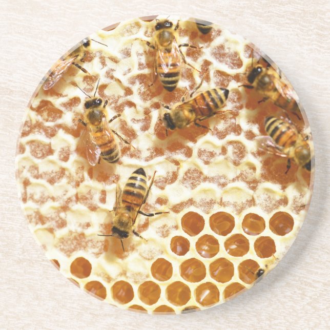 HONEY BEES COASTER (Front)