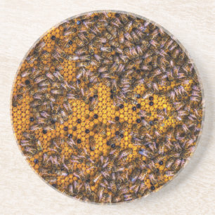 HONEY BEES COASTER