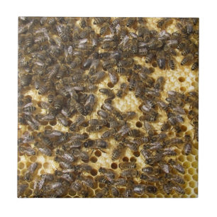Honey Bees everywhere Ceramic Tile