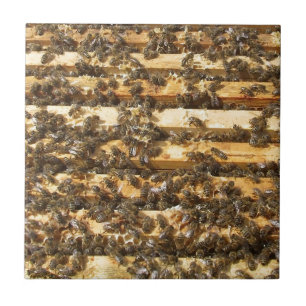 Honey Bees everywhere Tile